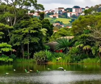 Descubra a Observação de Aves em Avaré – SP Descubra a Observação de Aves em Avaré - SP