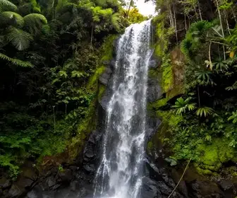 Descubra as Encantadoras Cachoeiras da Zona Rural de Avaré Descubra as Encantadoras Cachoeiras da Zona Rural de Avaré