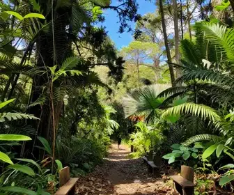 Descubra as Melhores Trilhas em Avaré - SP