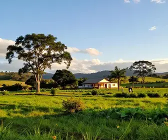 Descubra as Propriedades Rurais em Avaré: Uma Experiência Única no Turismo Rural Descubra as Propriedades Rurais em Avaré: Uma Experiência Única no Turismo Rural