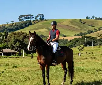 Descubra o Hipismo em Avaré: Uma Experiência Única de Esporte e Aventura Descubra o Hipismo em Avaré: Uma Experiência Única de Esporte e Aventura