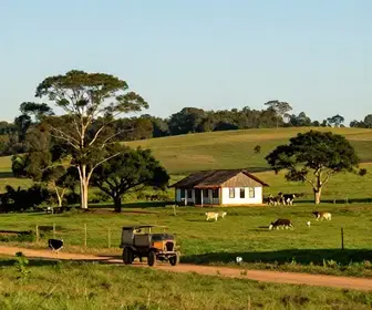 Descubra os Encantos dos Passeios Rurais em Avaré
