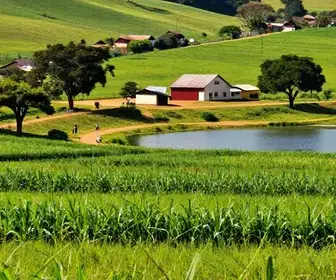 Descubra os Produtos Rurais de Avaré e Atrações do Turismo Rural