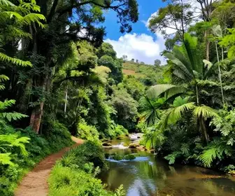 Explorando a Natureza de Avaré: Um Paraíso Verde