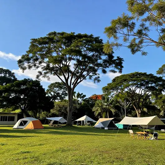 Explore o Camping Municipal Explore o Camping Municipal