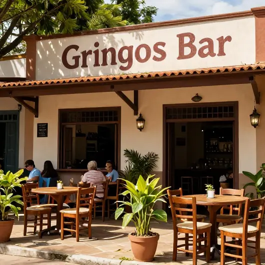 Gringos Bar