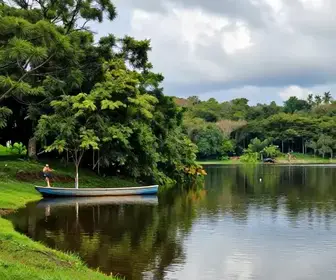 Os Melhores Locais para Pescar na Represa de Jurumirim em Avaré